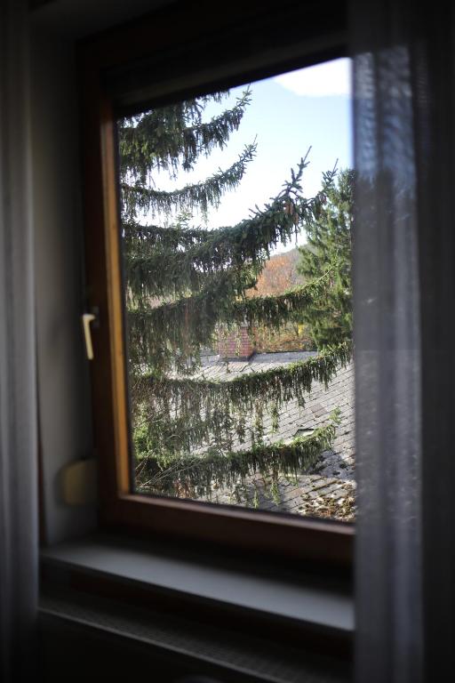 Helenental Pension & Apartments photo