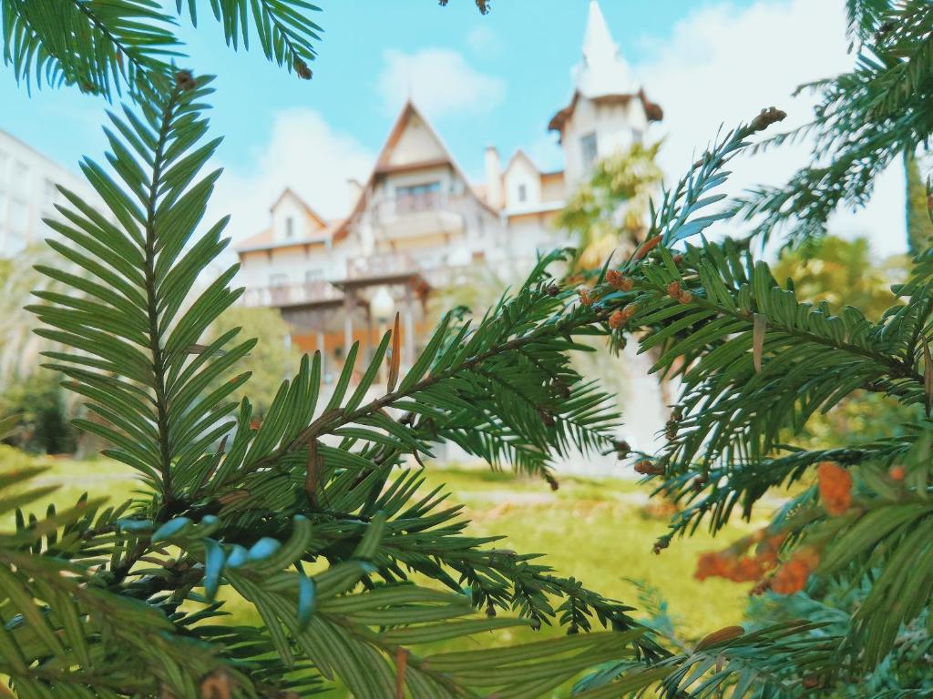 Svetlana Health Resort photo