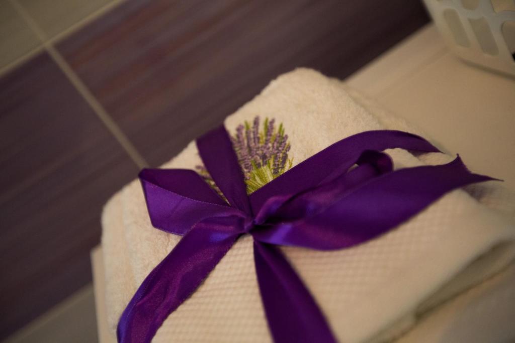 Guest House Gugily photo