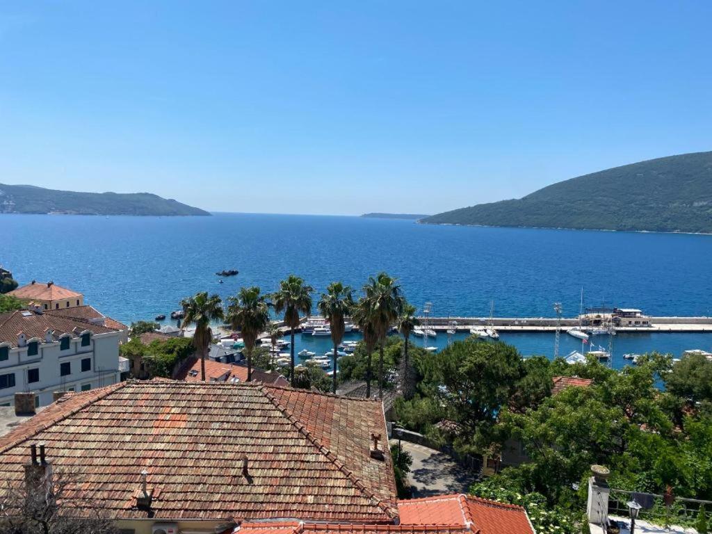 Villa Donna apartments - 3