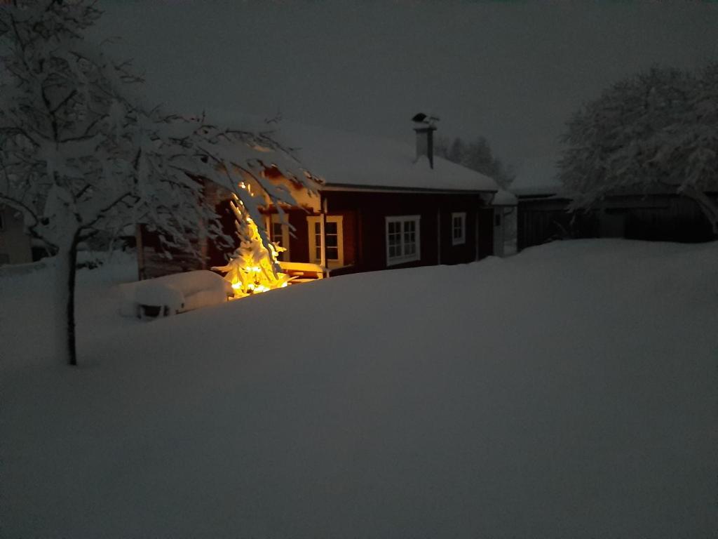 Ferienhaus Brunnenweiher - 2