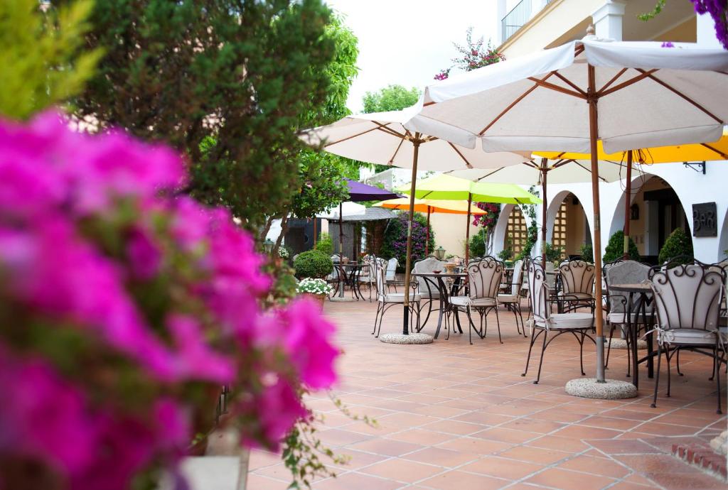 Hotel Bahia — Restaurant & bars in Peguera, Balearic Islands