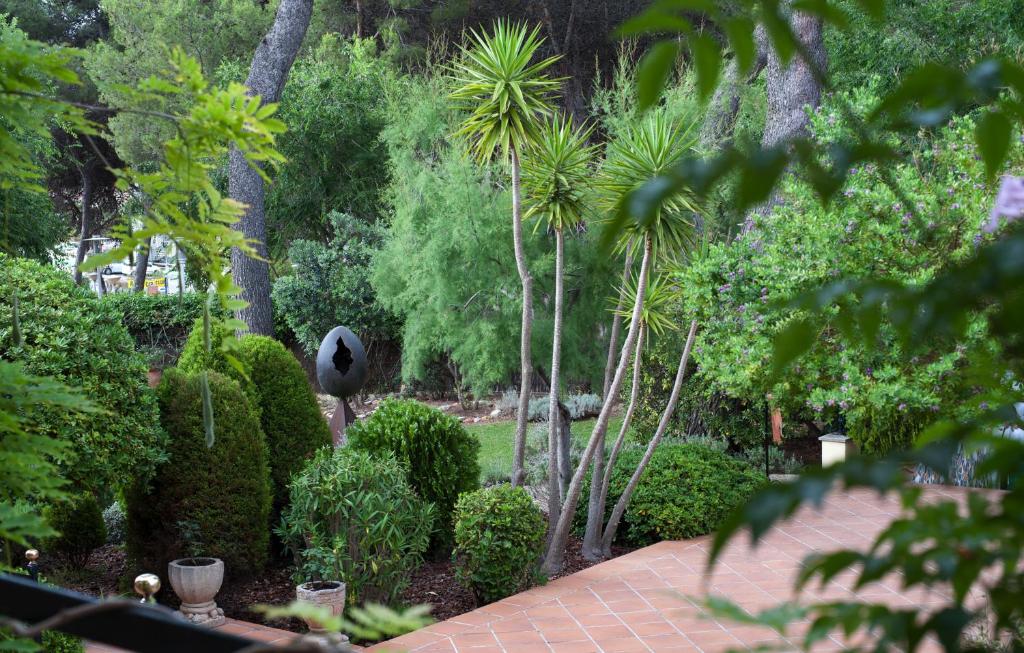 Hotel Bahia — Attractions in the area in Peguera, Balearic Islands