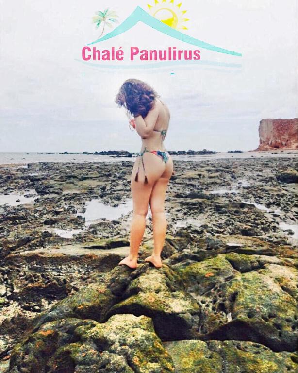 Chalé Panulirus (Chale Panulirus)