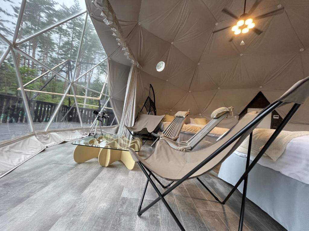 Ảnh 5