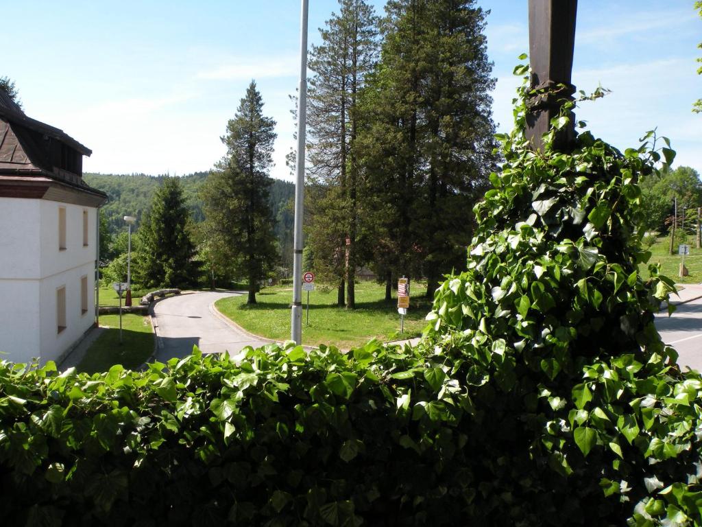 Hotel Lesni dum photo