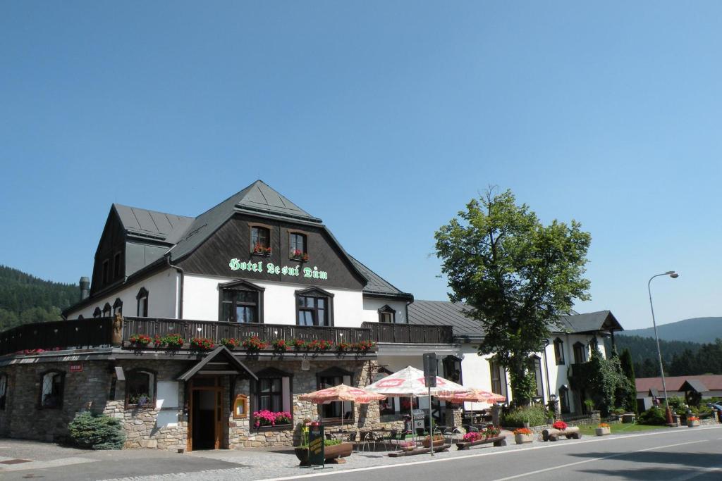 Hotel Lesni dum — Hotel in Janske Lazne