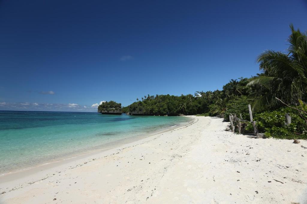 Surrounding environment