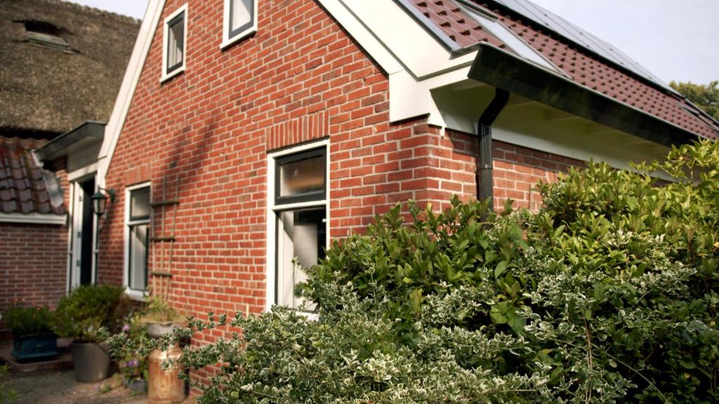 Brinks Kottie, Annen