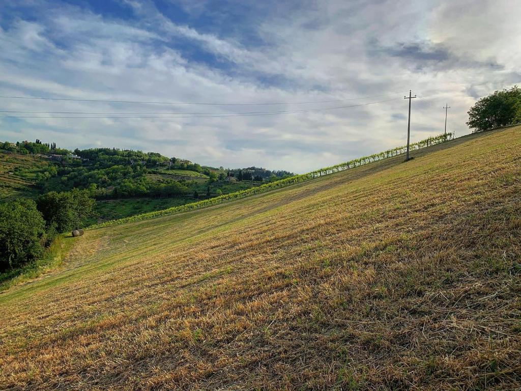 Podere Baratta agriturismo e cantina 전경