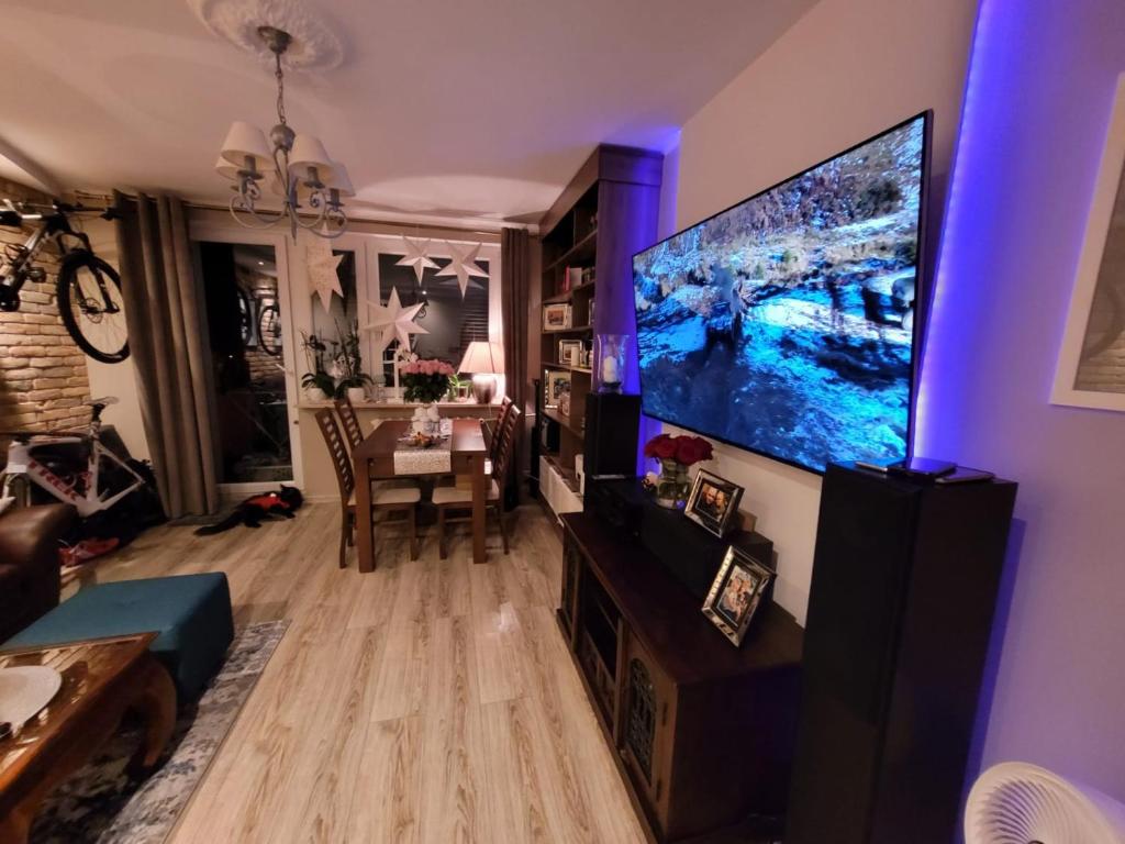 Shutter Apartment, Gorzów Wielkopolski