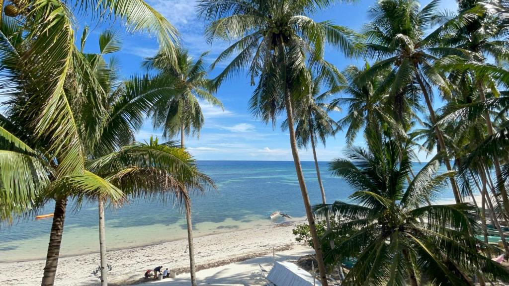 Anda White Beach Resort photo