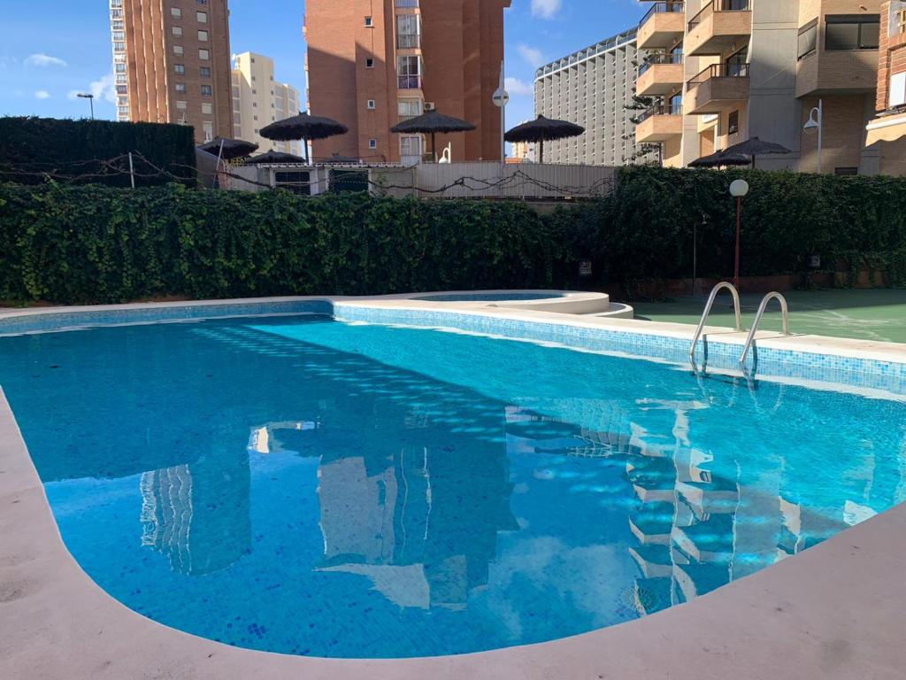 Trebol One Apartments By Mc — Swimming pool in Benidorm, Valencian Community