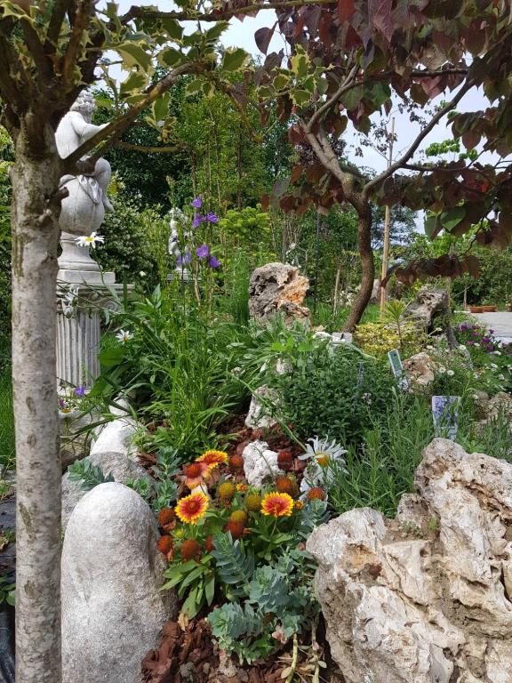Nel giardino di Dafne - 5