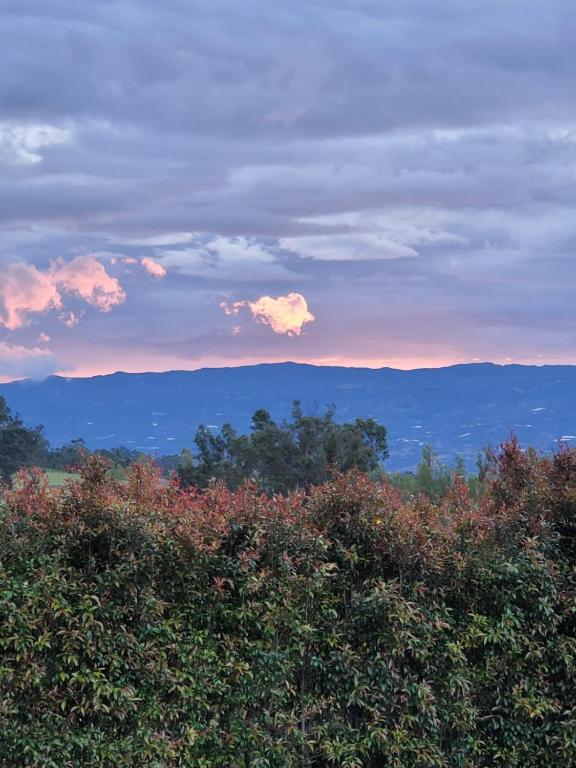 Surrounding environment