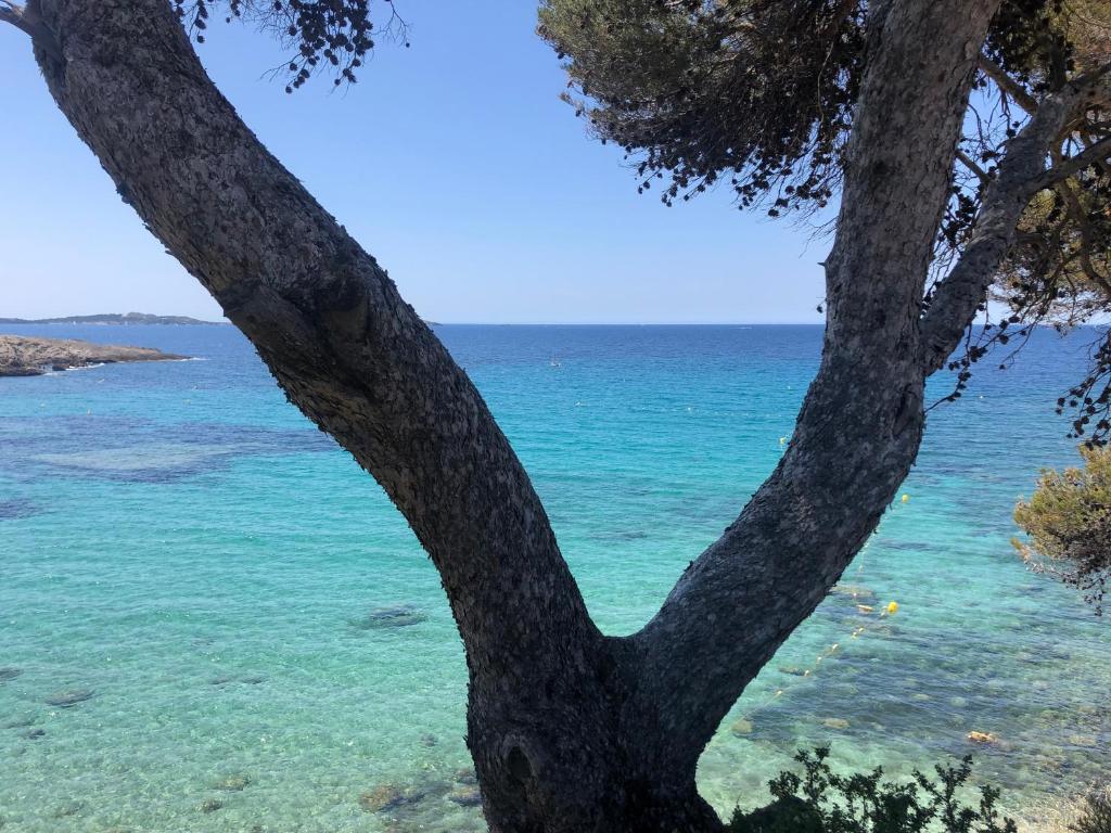 Location Vacances Sanary Sur Mer Corniche Des Baux Appartement Les Baux 1, Appartement Sanary-sur-Mer