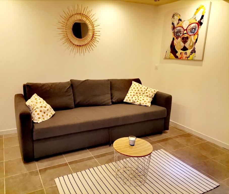 Studio Montpellier écusson - 5