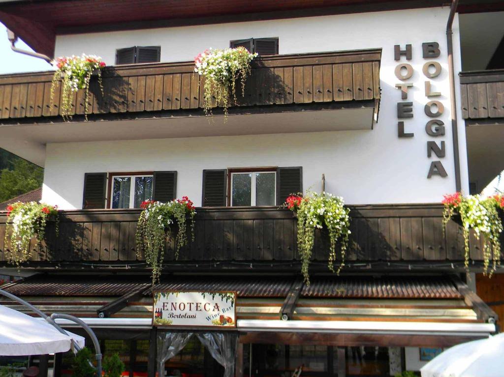 Hotel Bologna photo