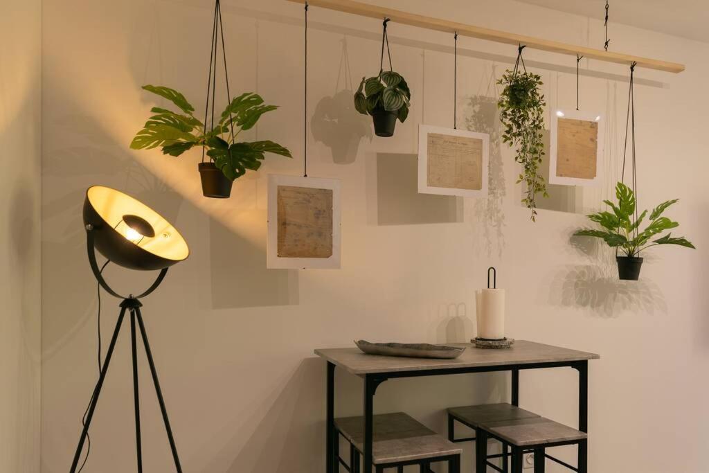 Superbe Appart Plein Centre avec Parking & Jardin - 3