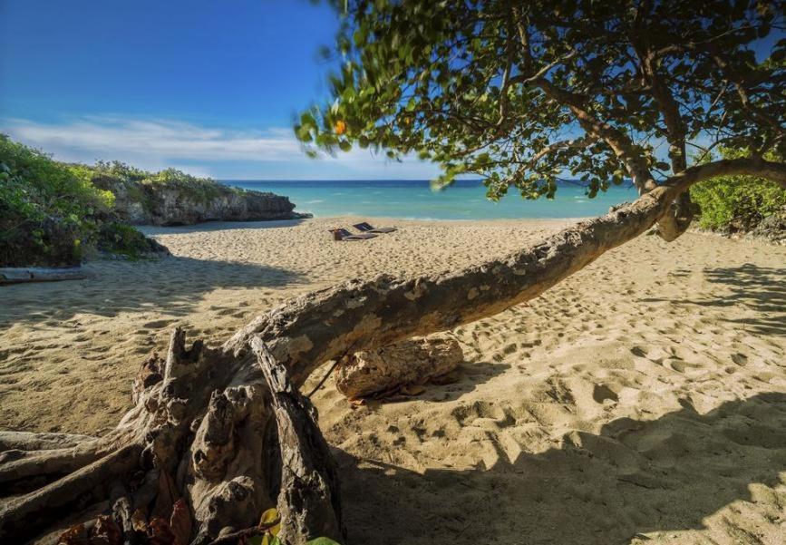 Amazing Condos at Sosua Ocean Village photo
