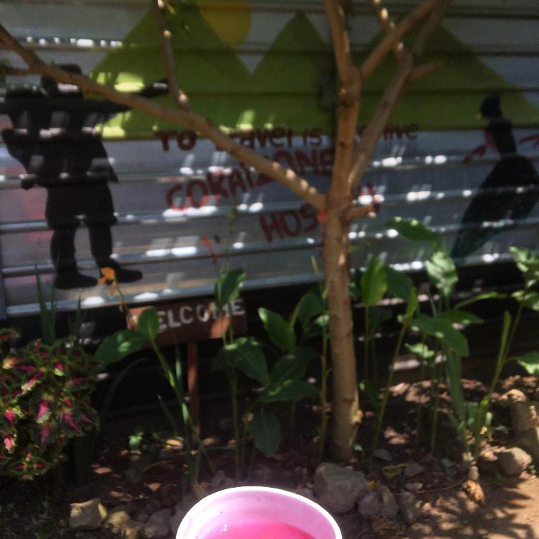 Cora Izone — Hotel in Coban