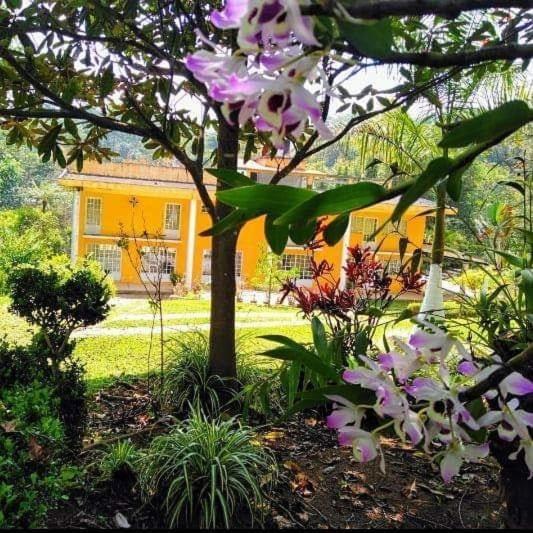 Hostal La Finca