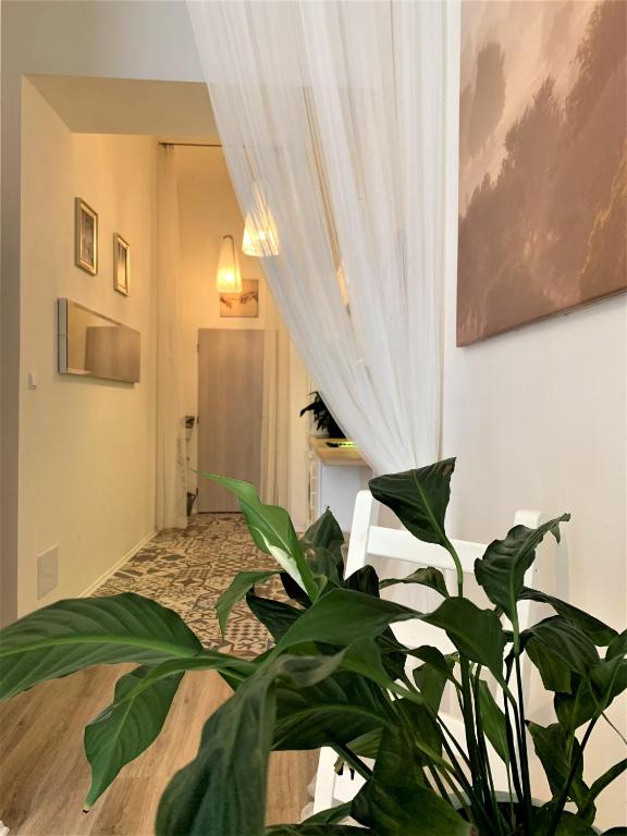 Apartment Preslova photo