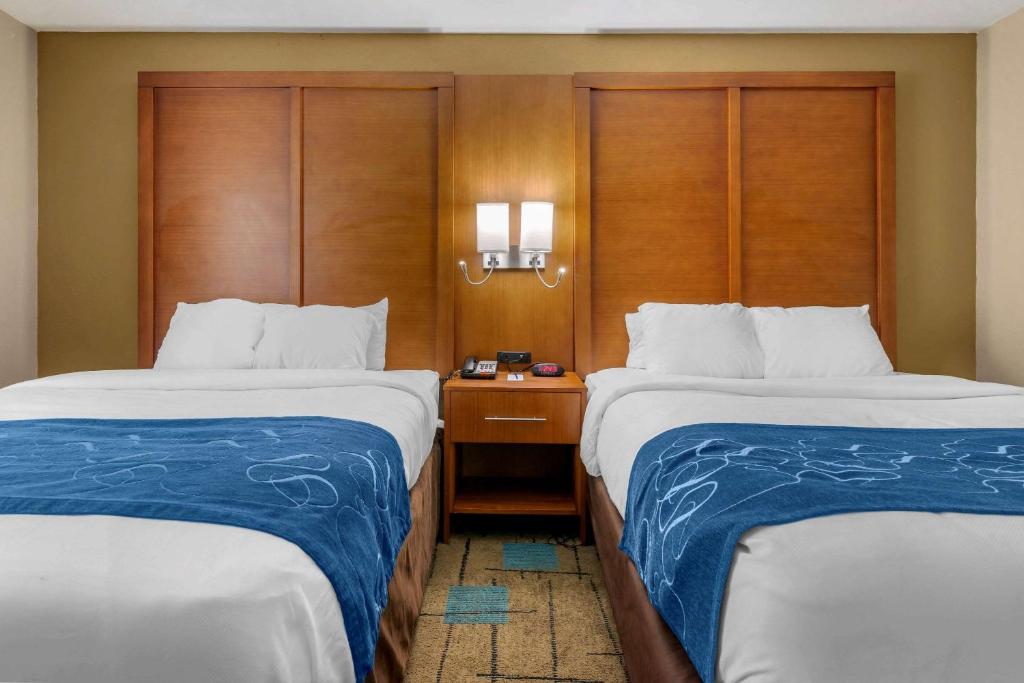 Comfort Suites Near Mcas Beaufort Photo 3