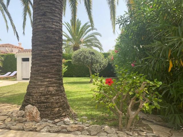 Villa Palmera Playa Almadrava, Els Poblets , Denia - 5