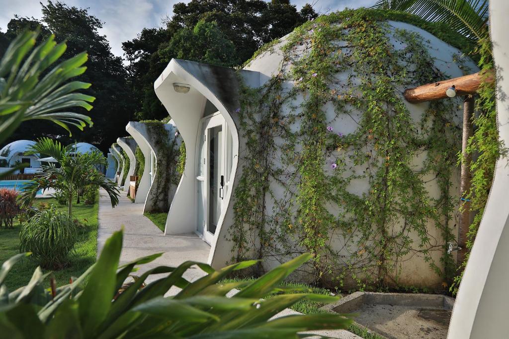 Igloo Beach Lodge photo