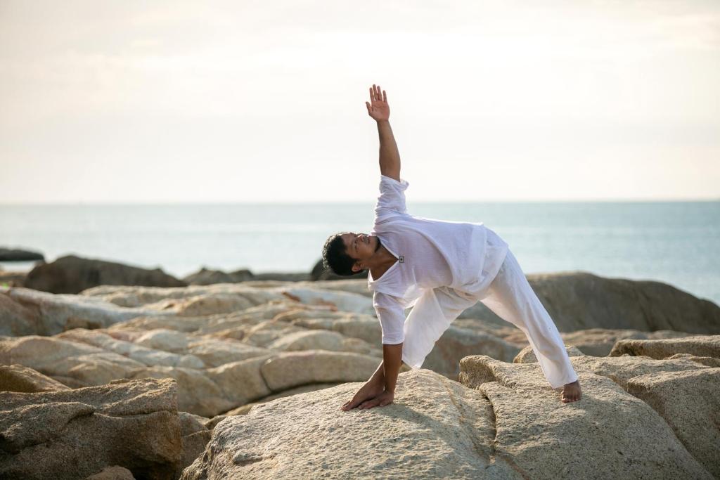 アクティビティ