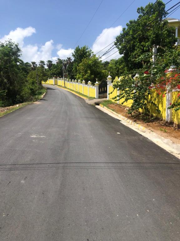 Pura Vida Jamaica photo
