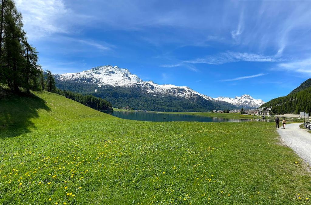 Surrounding environment