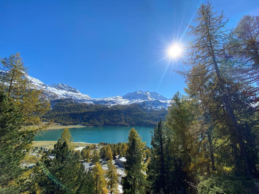 Surrounding environment