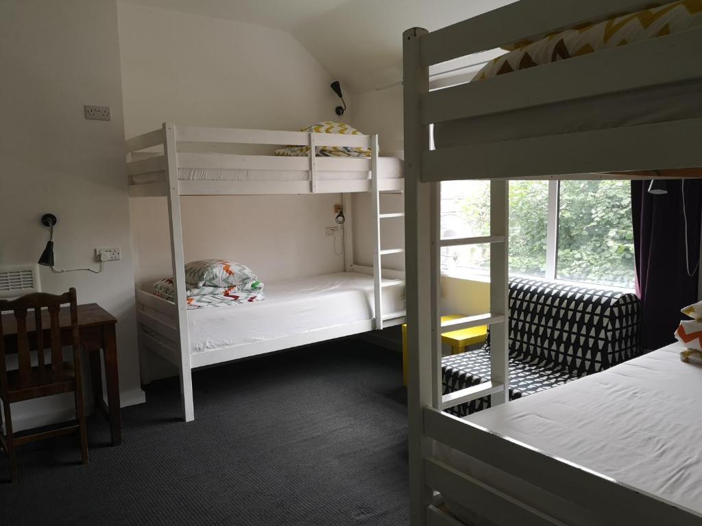 Bed in 4-6 Bed Mixed Dormitory Room