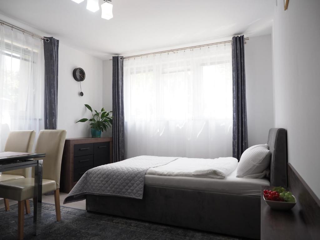 Adobe Apartment - przytulny i free parking 전경