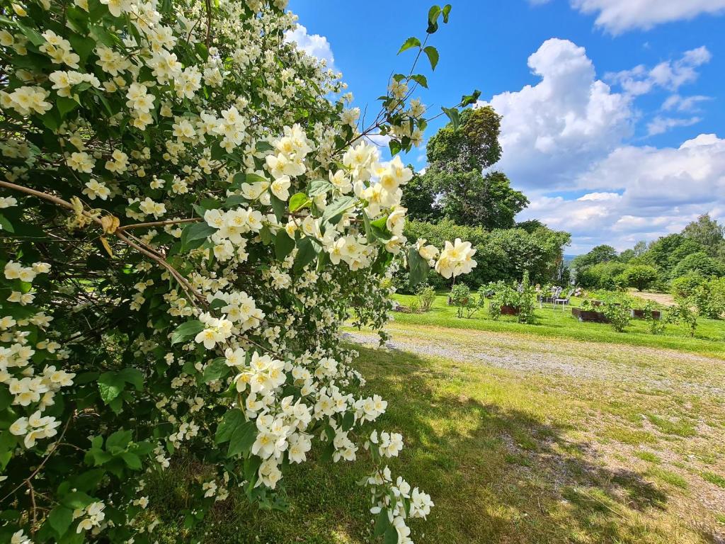 Risberg Herrgard photo