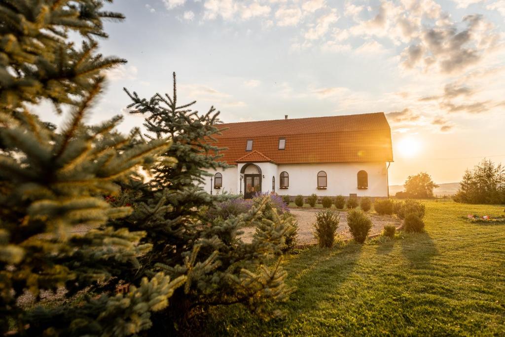 Conacul Nagy photo