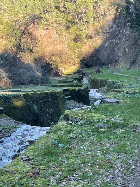La Dimora di Corte photo