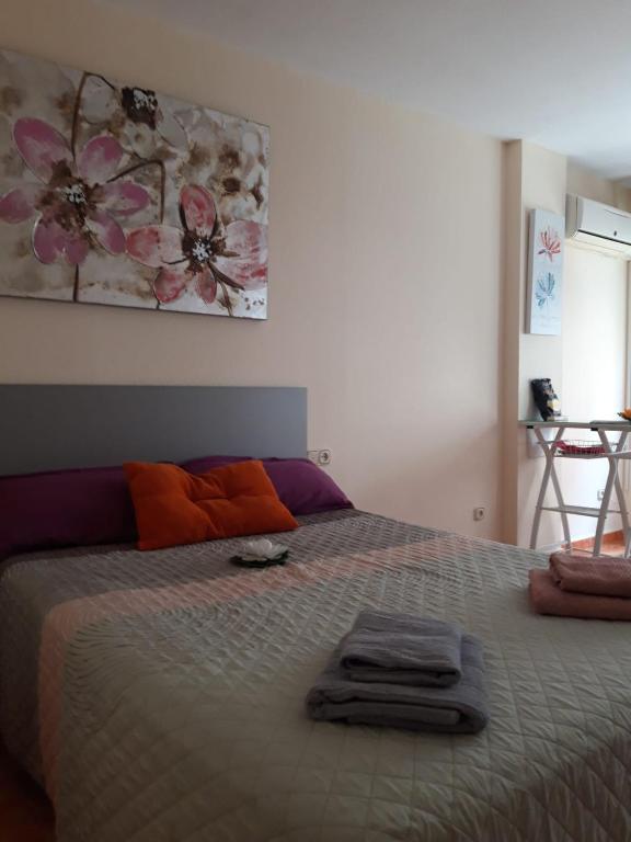 Almudena Estudio, Torrevieja