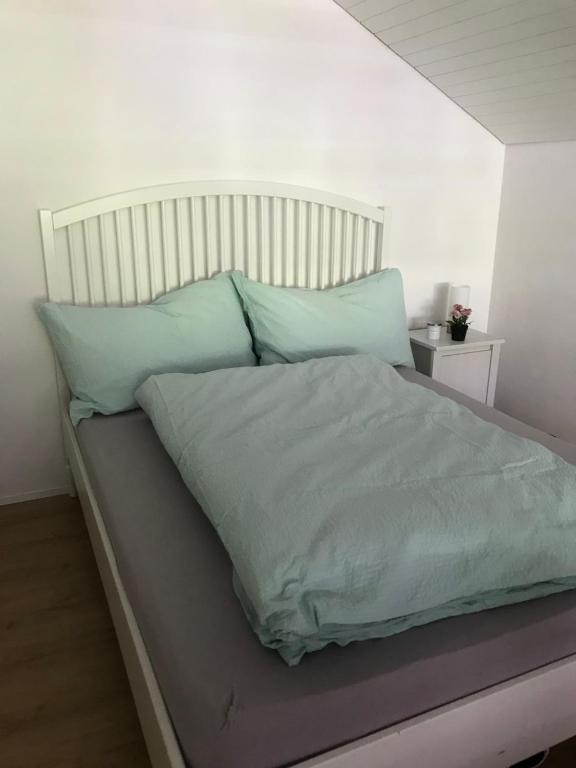 Gauenpark AL77 Wohnung Hutter photo