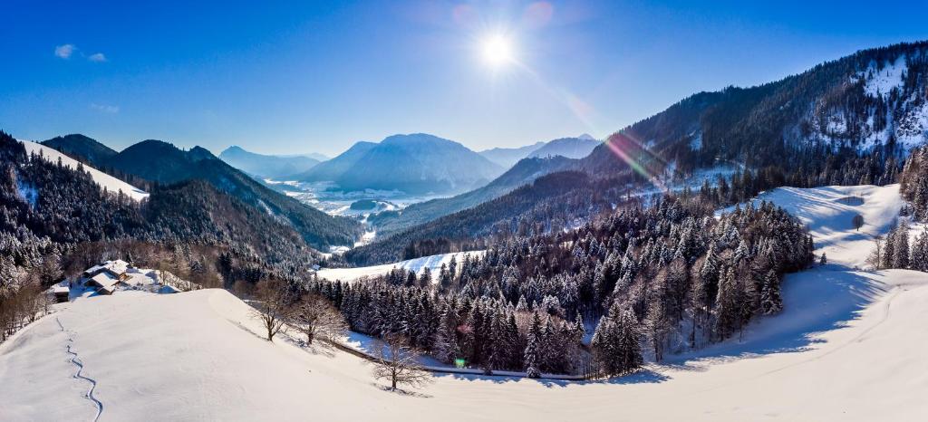 Steinberger Hof Alm inkl. Chiemgau Karte - 4