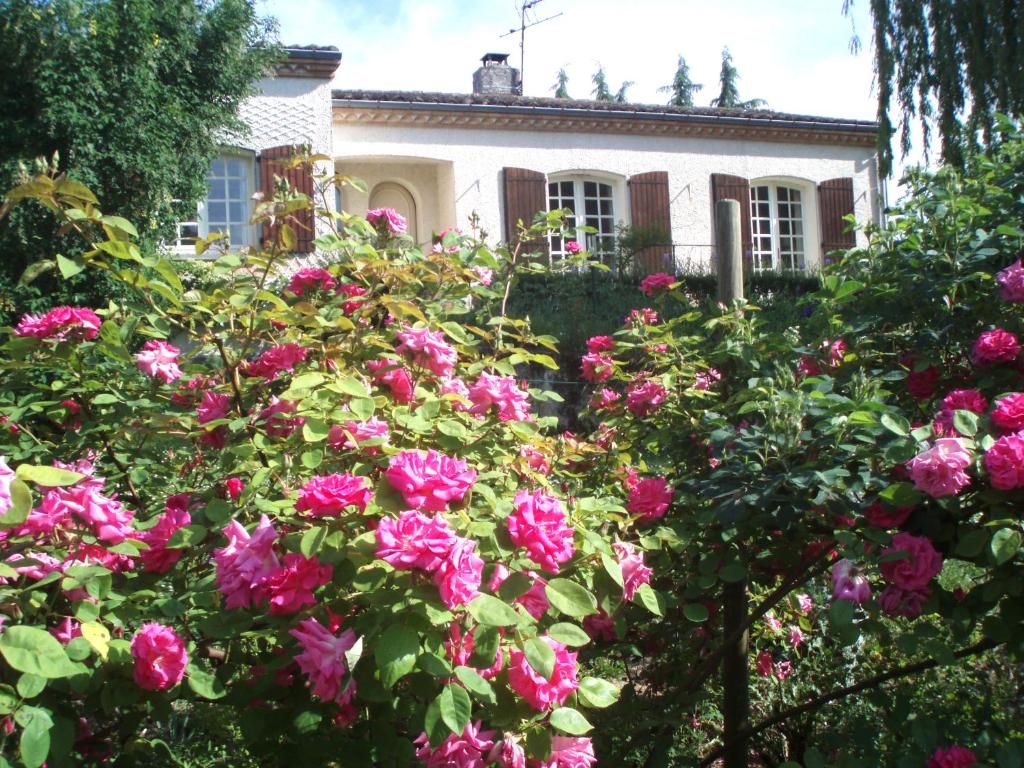 Au Soleil d'Albi photo
