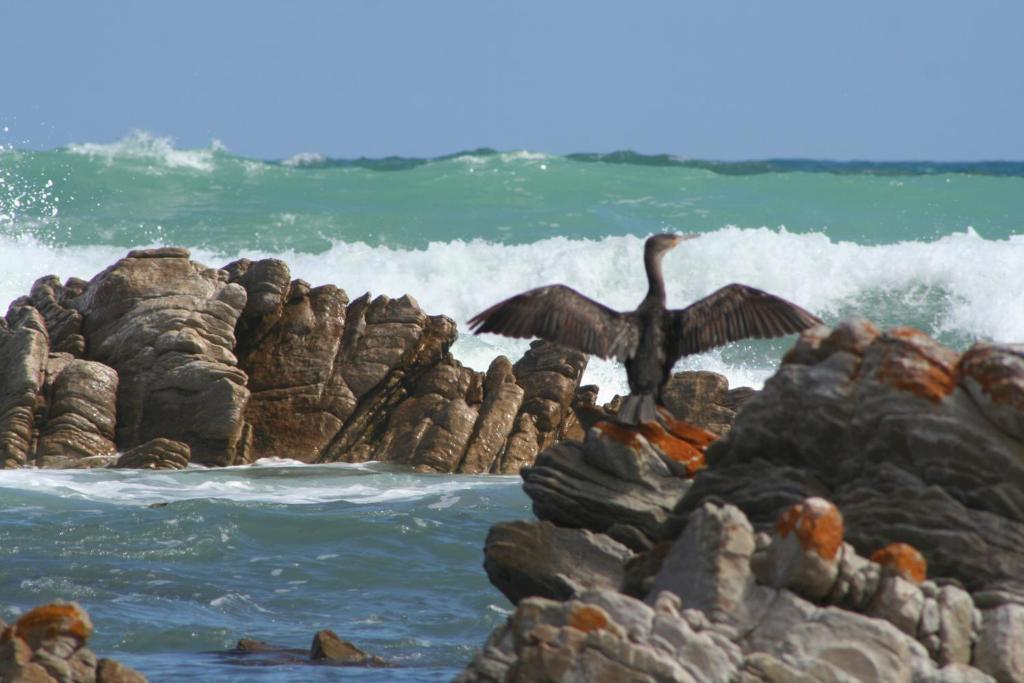 Beachcombers photo