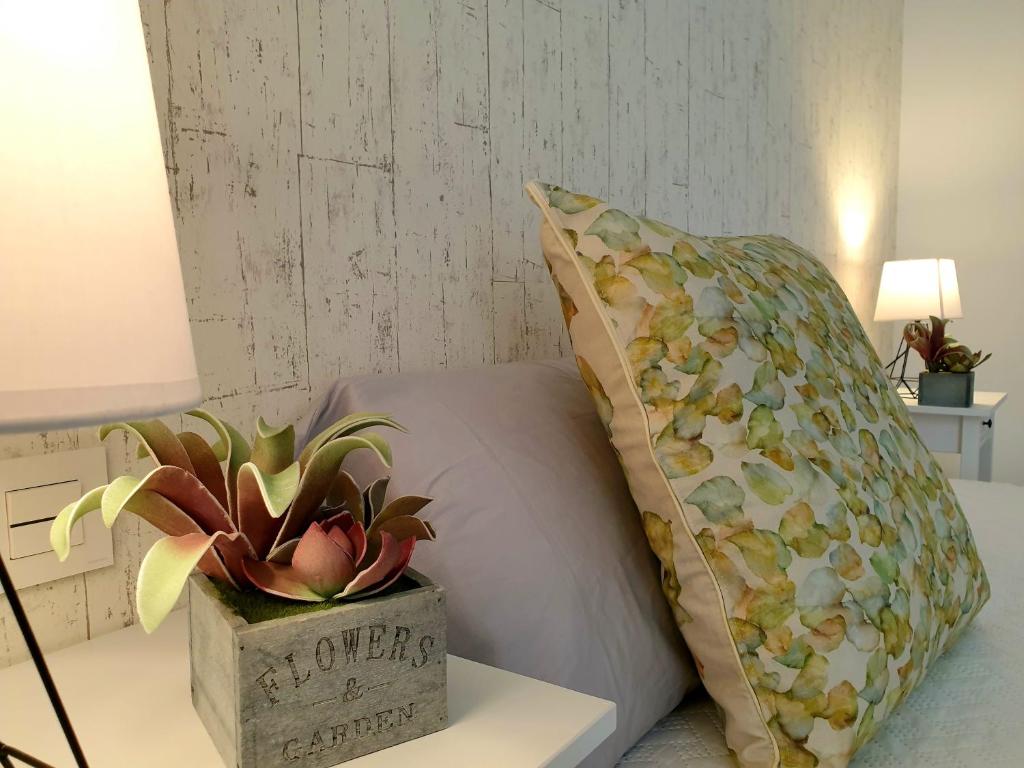 Sherryflat Cádiz, Cádiz