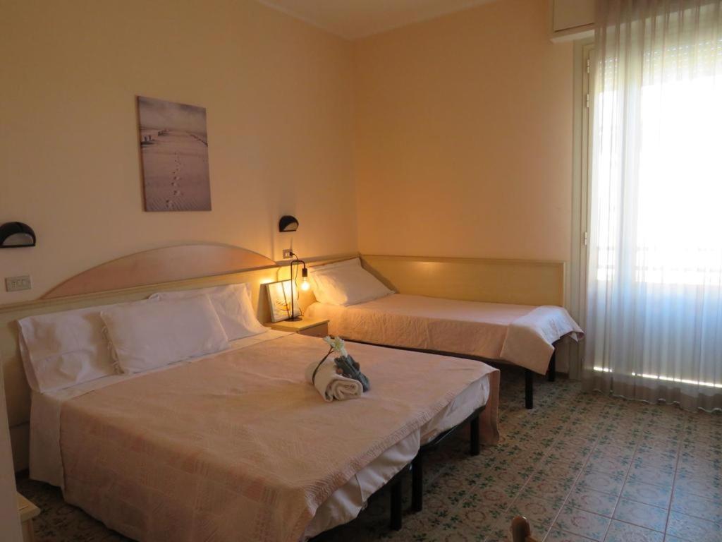 Hotel Primula - 5