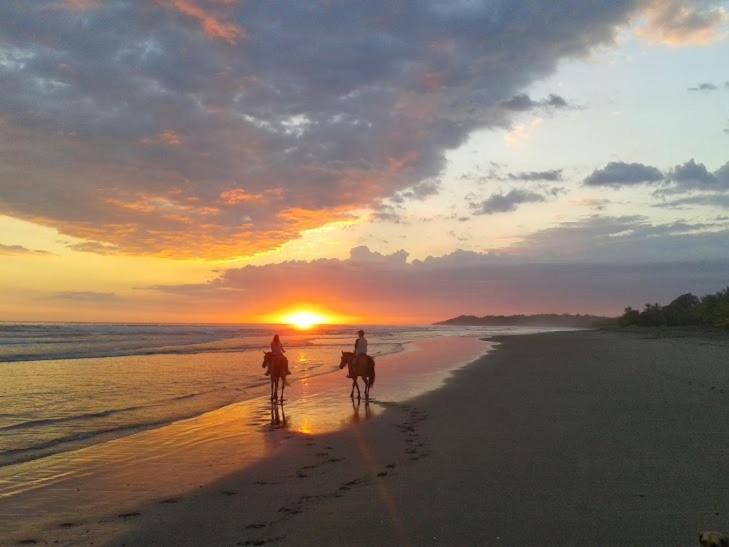 Encantada Ocean Cottages photo