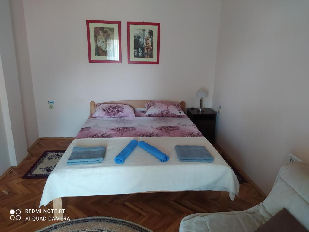 Prenociste Aleksandar — Hotel in Golubac