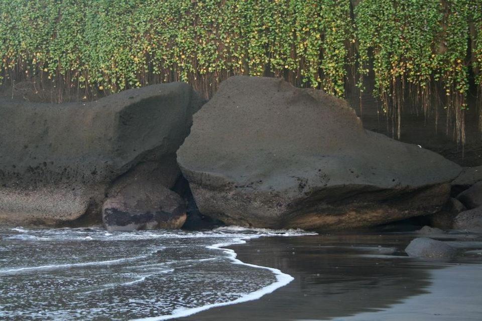 Istana Balian - Boutique Hotel Resort photo