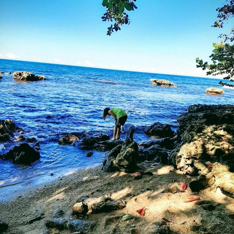 Surrounding environment